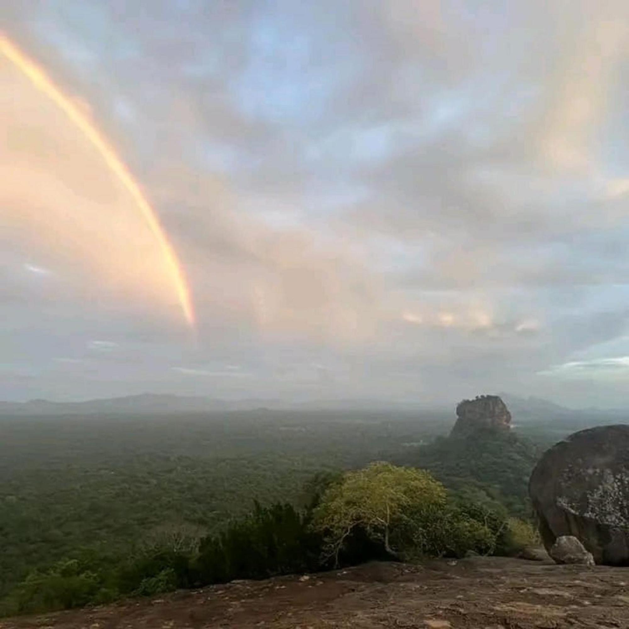 Sigiri Birds Hostel Sigiriya Eksteriør billede