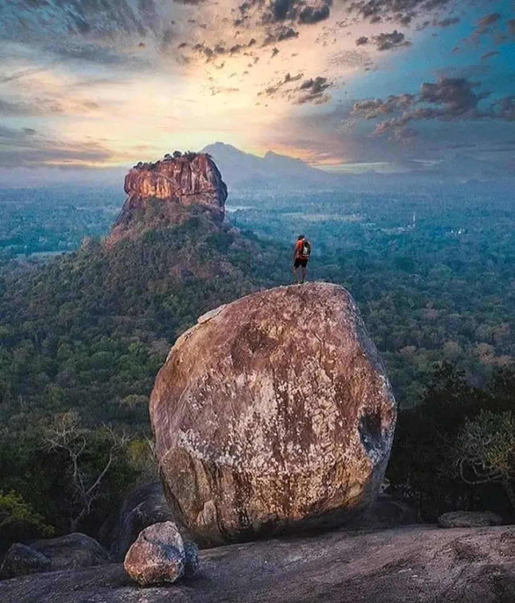 Sigiri Birds Hostel Sigiriya Eksteriør billede