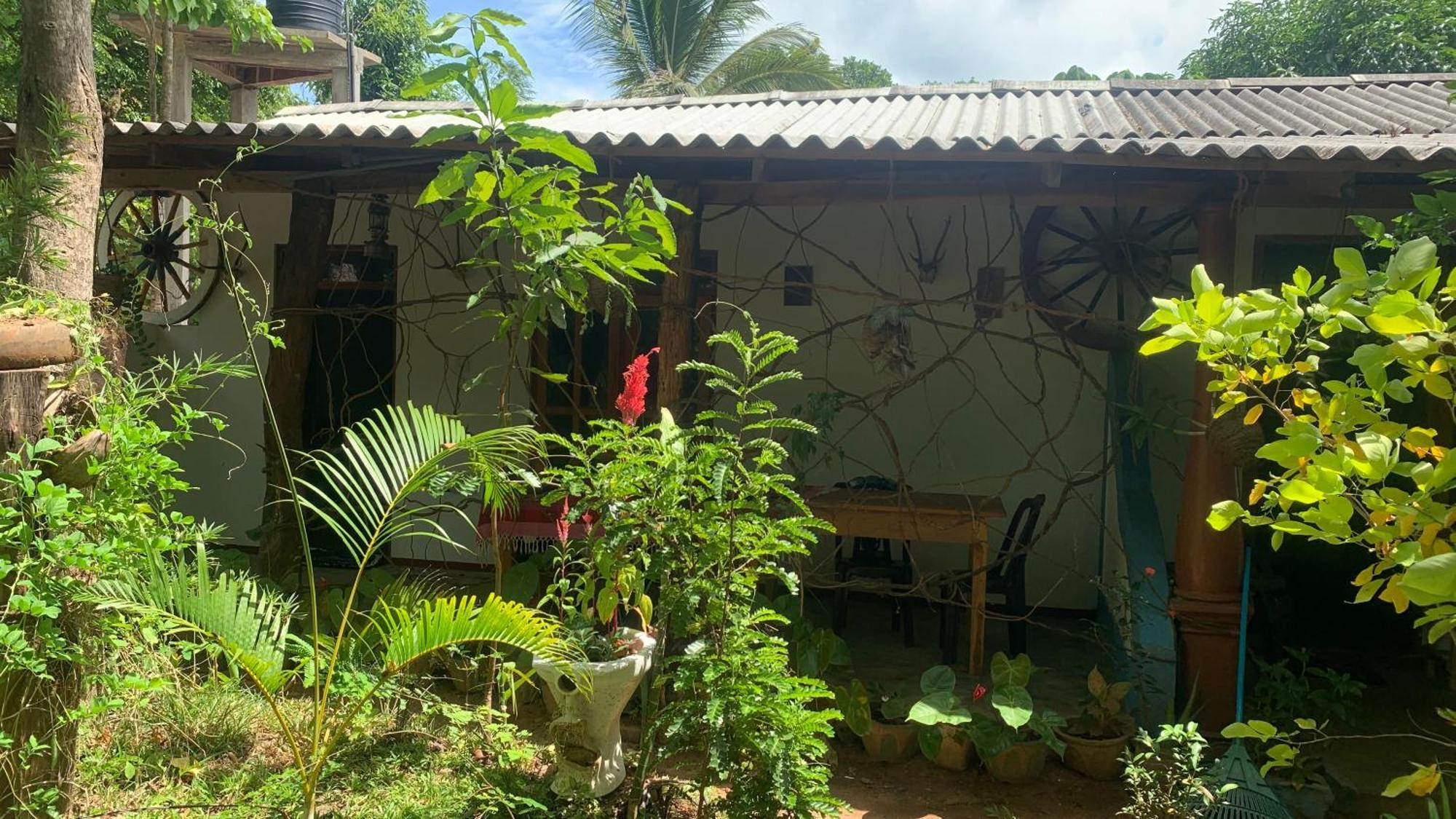 Sigiri Birds Hostel Sigiriya Eksteriør billede