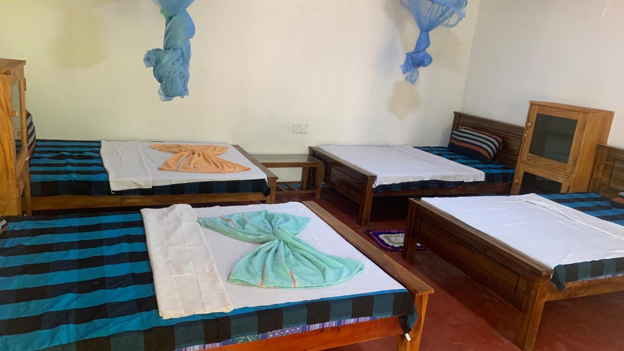 Sigiri Birds Hostel Sigiriya Eksteriør billede